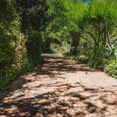 De Poort Country Lodge Oudtshoorn Buitenkant foto