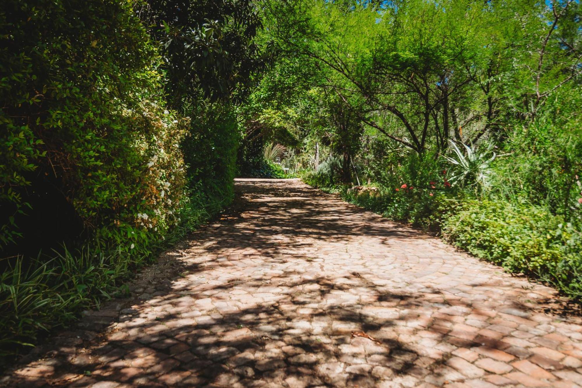 De Poort Country Lodge Oudtshoorn Buitenkant foto