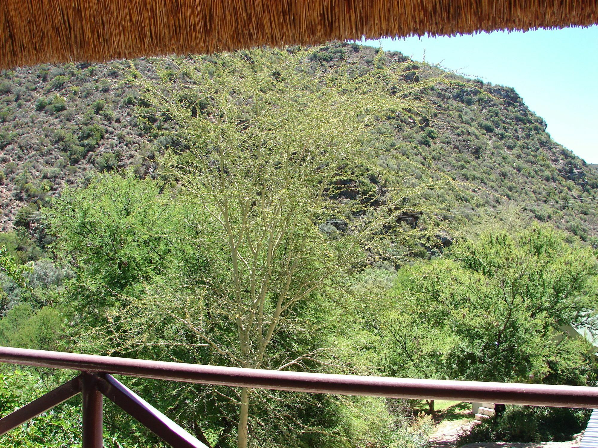 De Poort Country Lodge Oudtshoorn Buitenkant foto