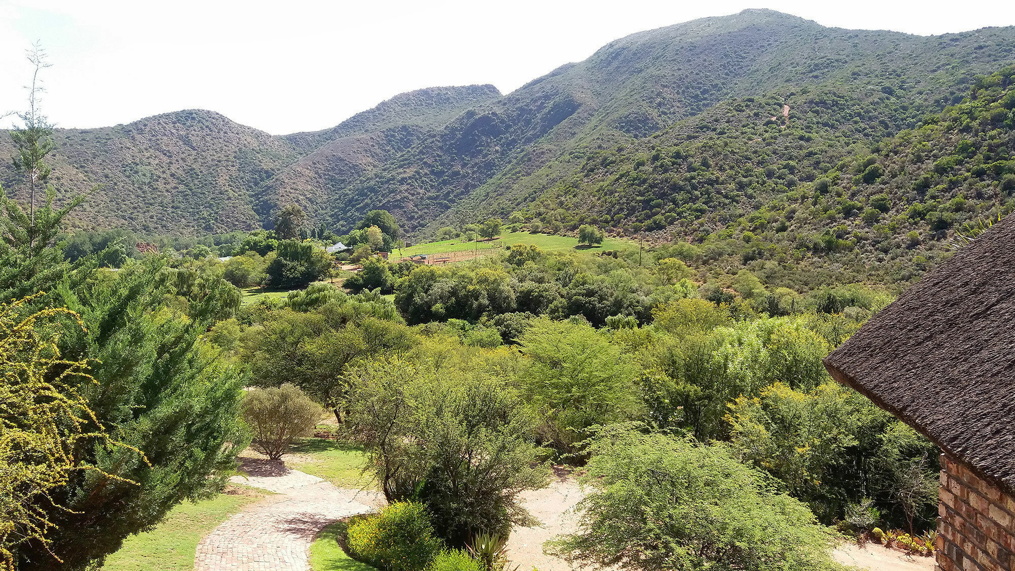 De Poort Country Lodge Oudtshoorn Buitenkant foto